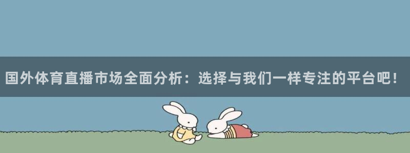 国外体育直播市场全面分析：选择与我们一样专注的平台吧！