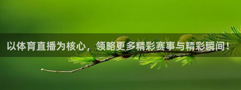 以体育直播为核心，领略更多精彩赛事与精彩瞬间！