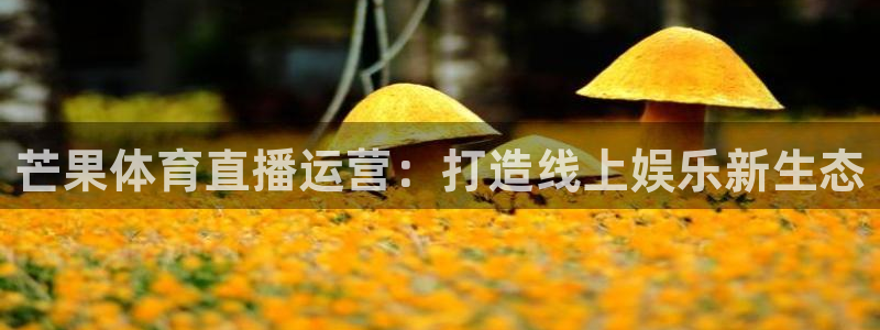 芒果体育直播运营：打造线上娱乐新生态