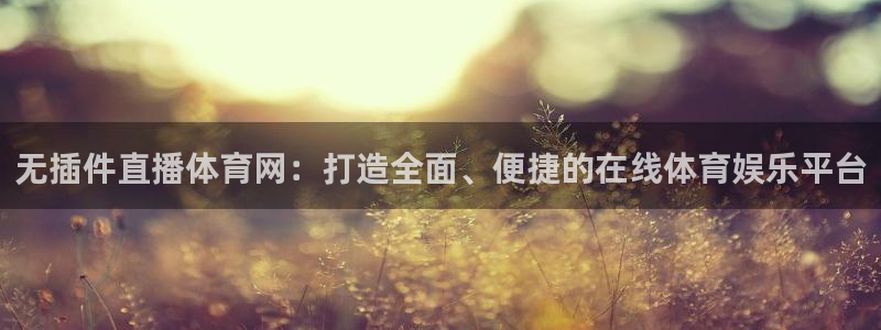 无插件直播体育网：打造全面、便捷的在线体育娱乐平台